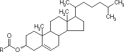 cholesterin aufbau und reaktion