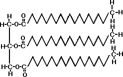 triglyceride als fette